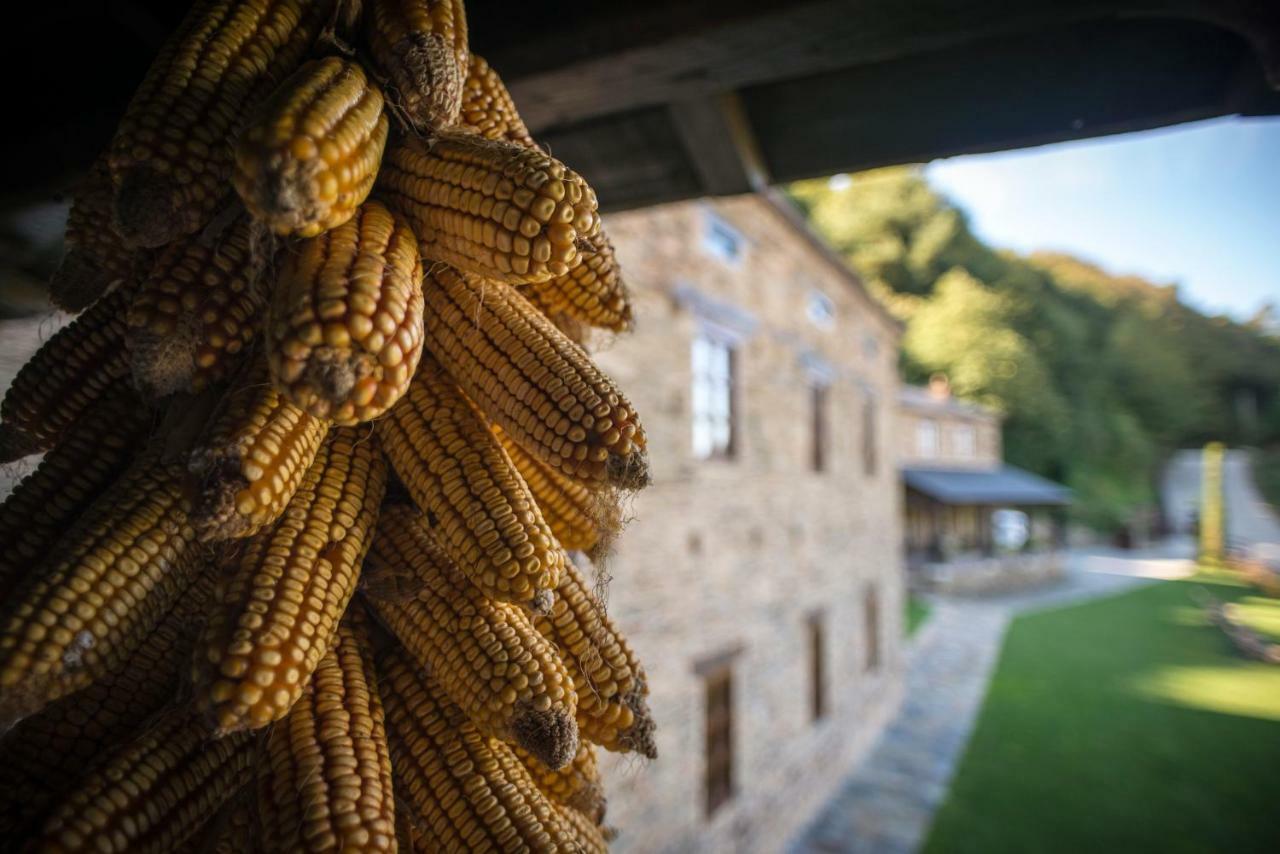 Willa Complejo Rural Casona De Labrada Zewnętrze zdjęcie